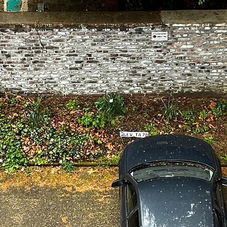 Gemuetliche, Ganze In Ruhiger, Zentraler Lage Leverkusen